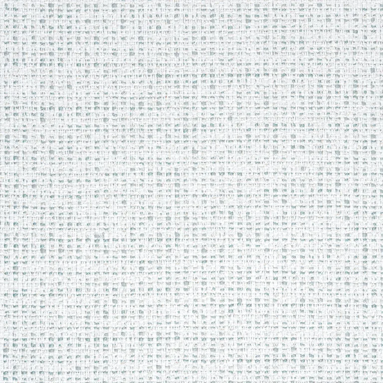 Thibaut Arno in Mist (W80946)