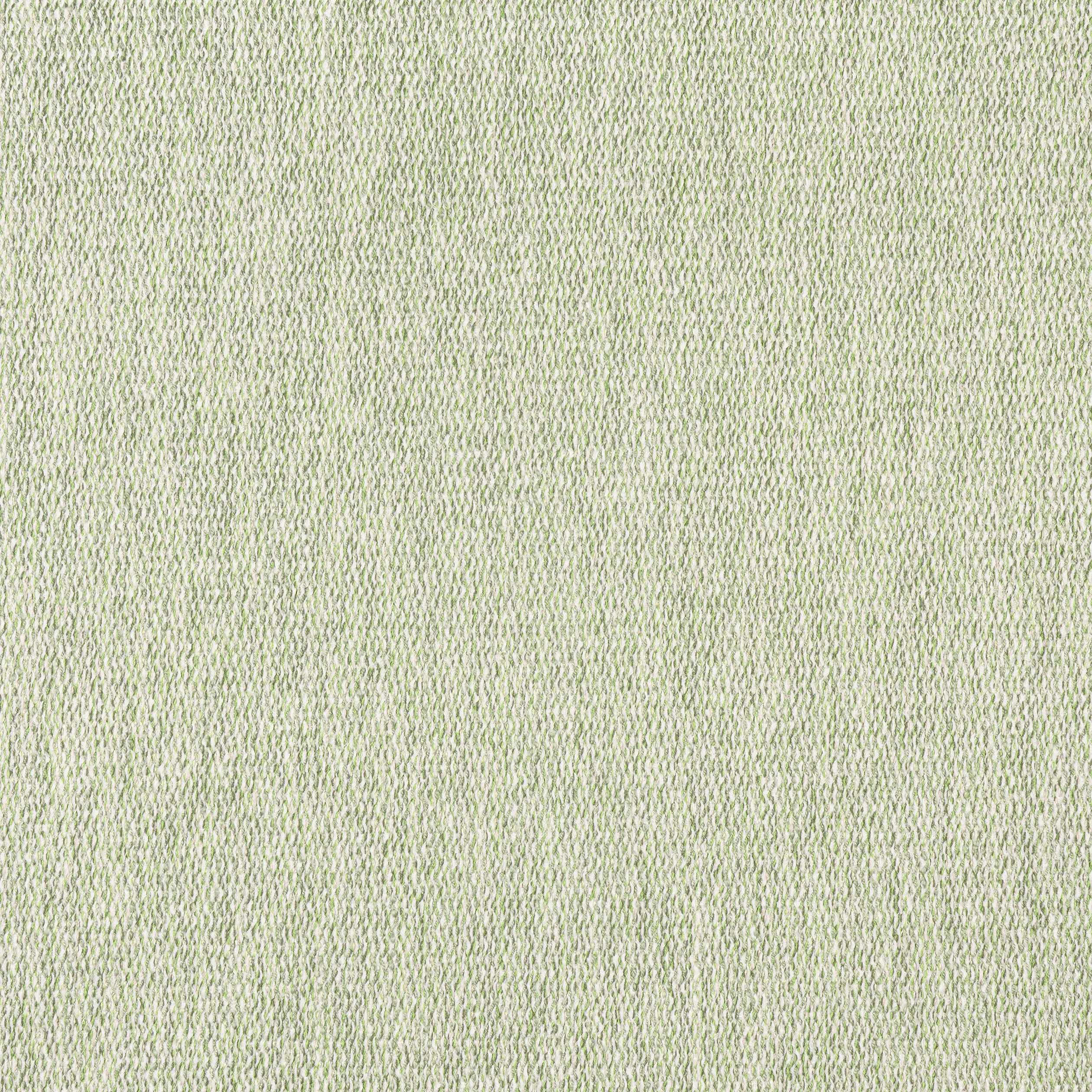 Thibaut Arroyo in Aloe (W8784)