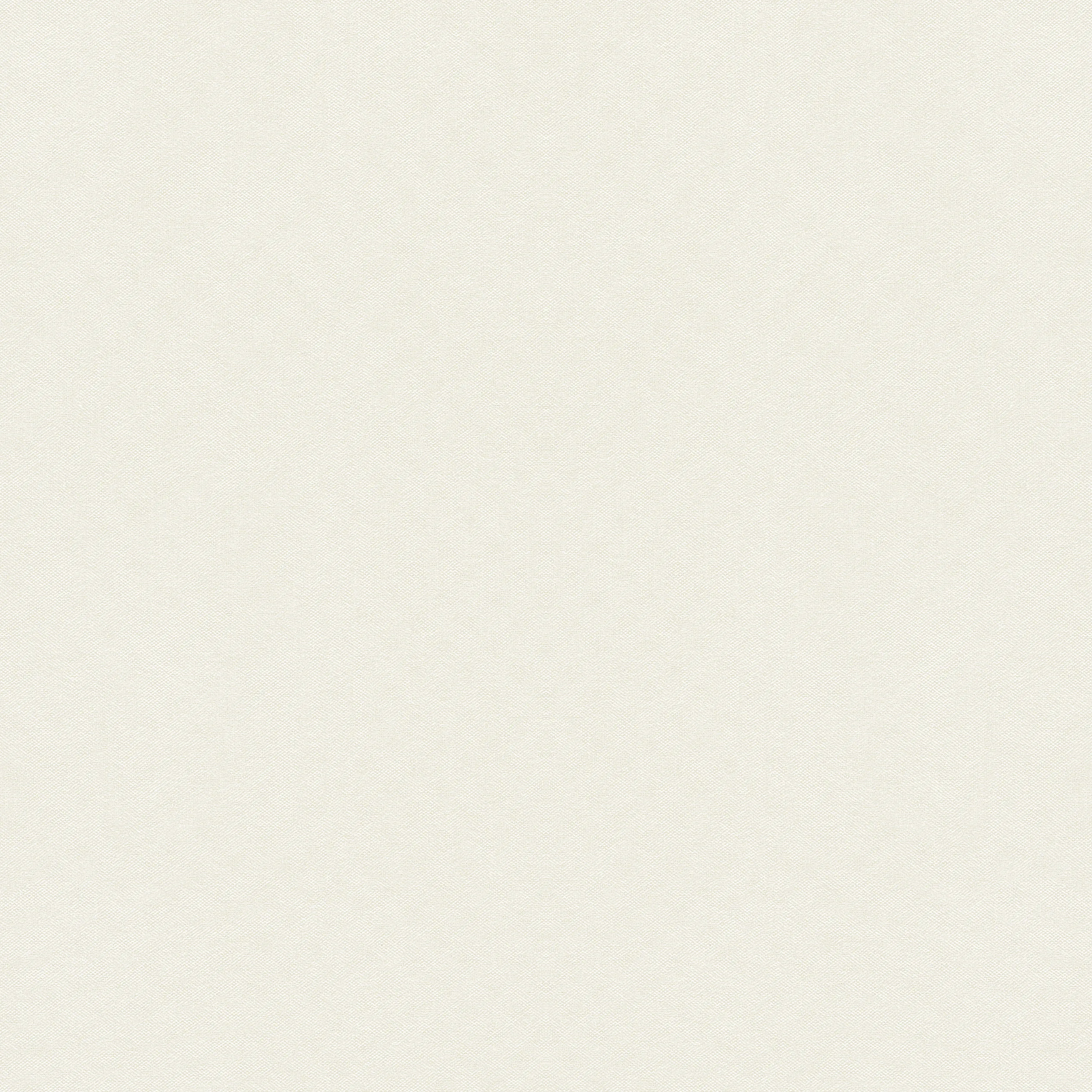 Thibaut Asher in Salt (FWW81724)