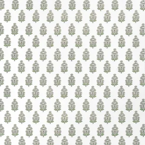 Thibaut Audrey in Beige (F910522)