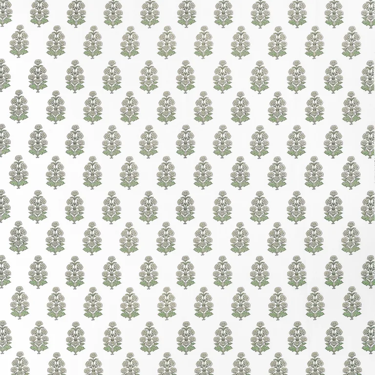 Thibaut Audrey in Beige (F910522)