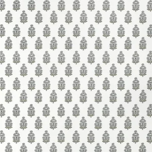 Thibaut Audrey in Grey (F910520)