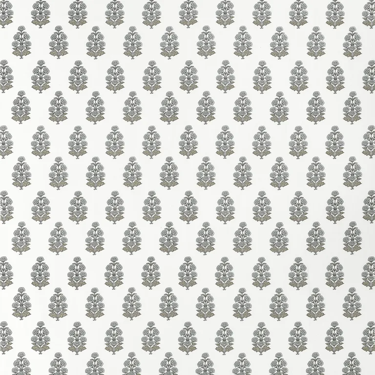 Thibaut Audrey in Grey (F910520)