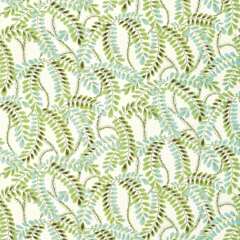 Thibaut Augusta in Sage (F945039)