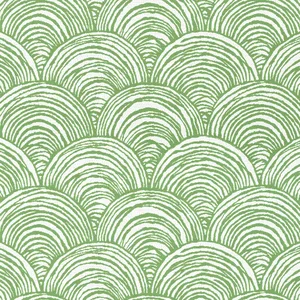 Thibaut Bay Point in Leaf (W81726)