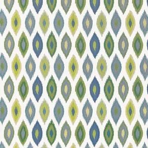 Thibaut Beliza in Bermuda and Kiwi (W81800)