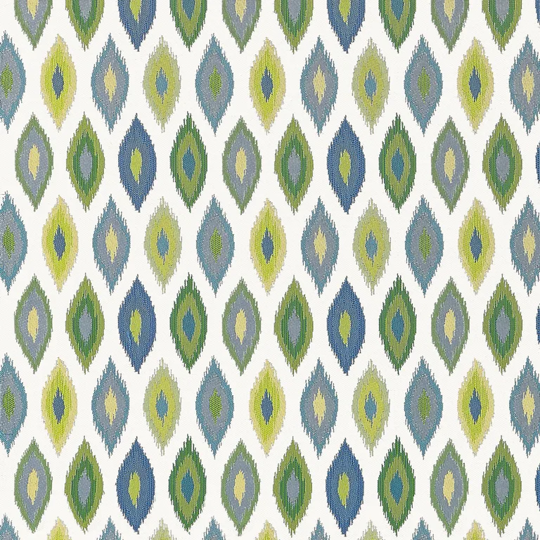Thibaut Beliza in Bermuda and Kiwi (W81800)