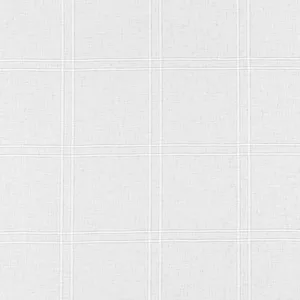 Thibaut Benson in Platinum (FWW8263)