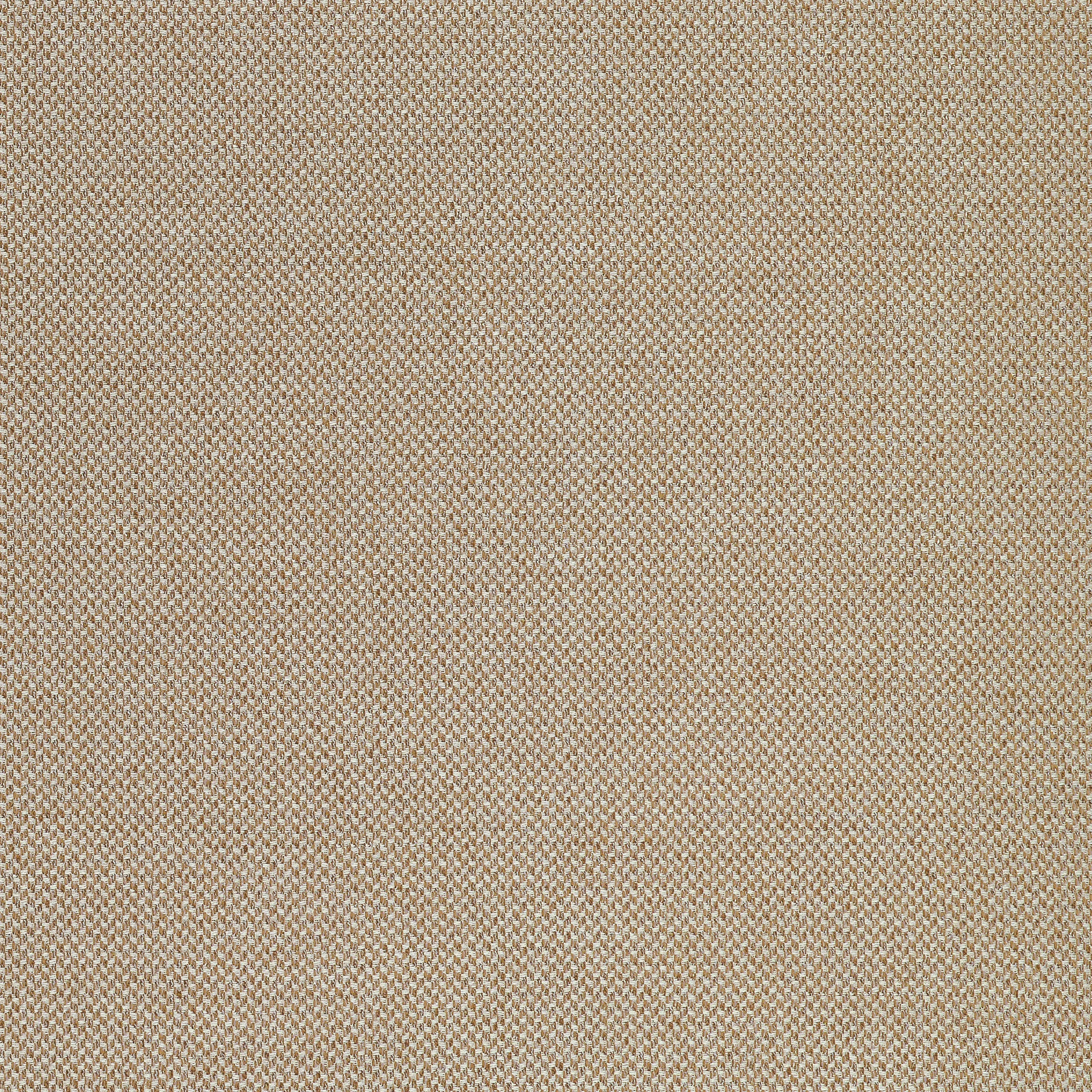 W711245 | Bizette – Bark