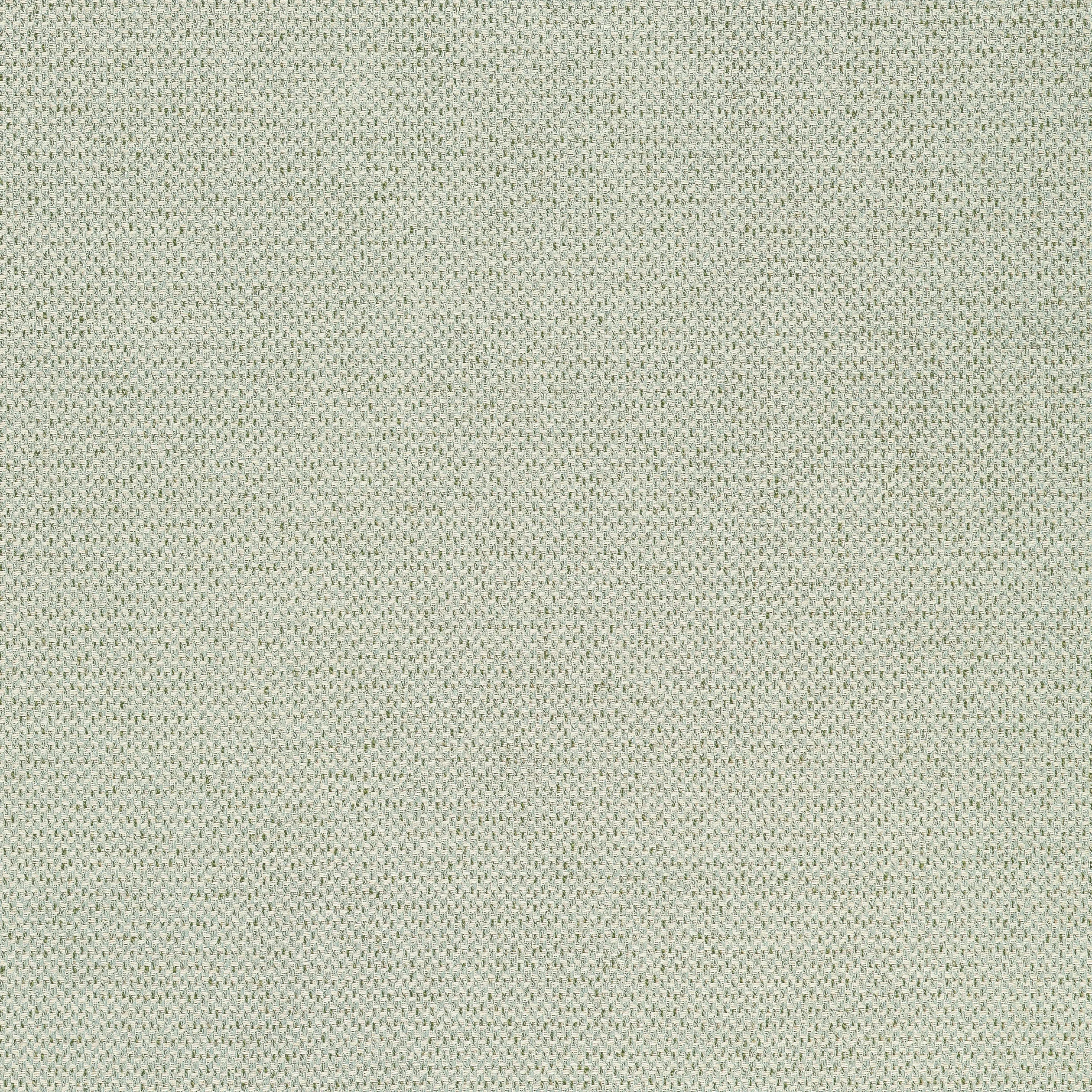 W711244 | Bizette – Moss