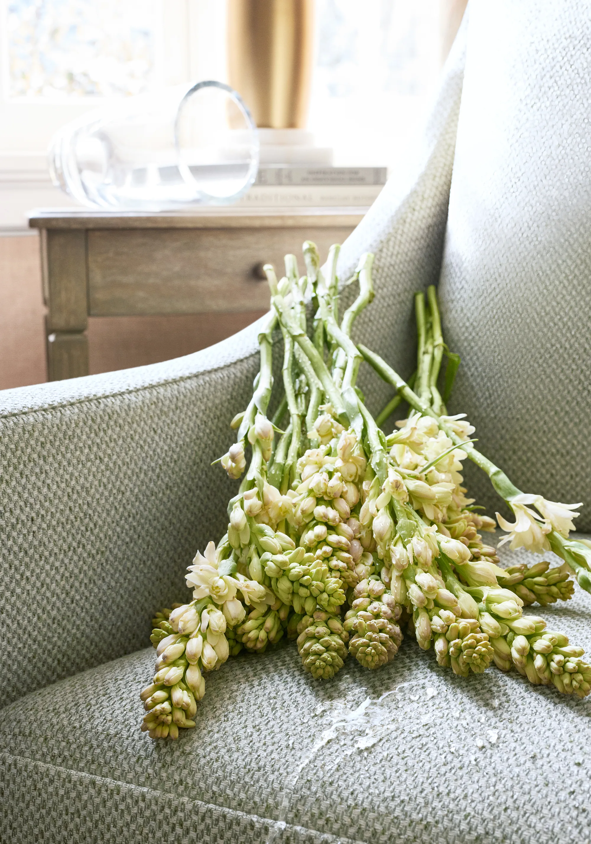 Thibaut Bizette in Moss (W711244)