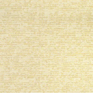 Thibaut Borealis in Buttercup (W75232)
