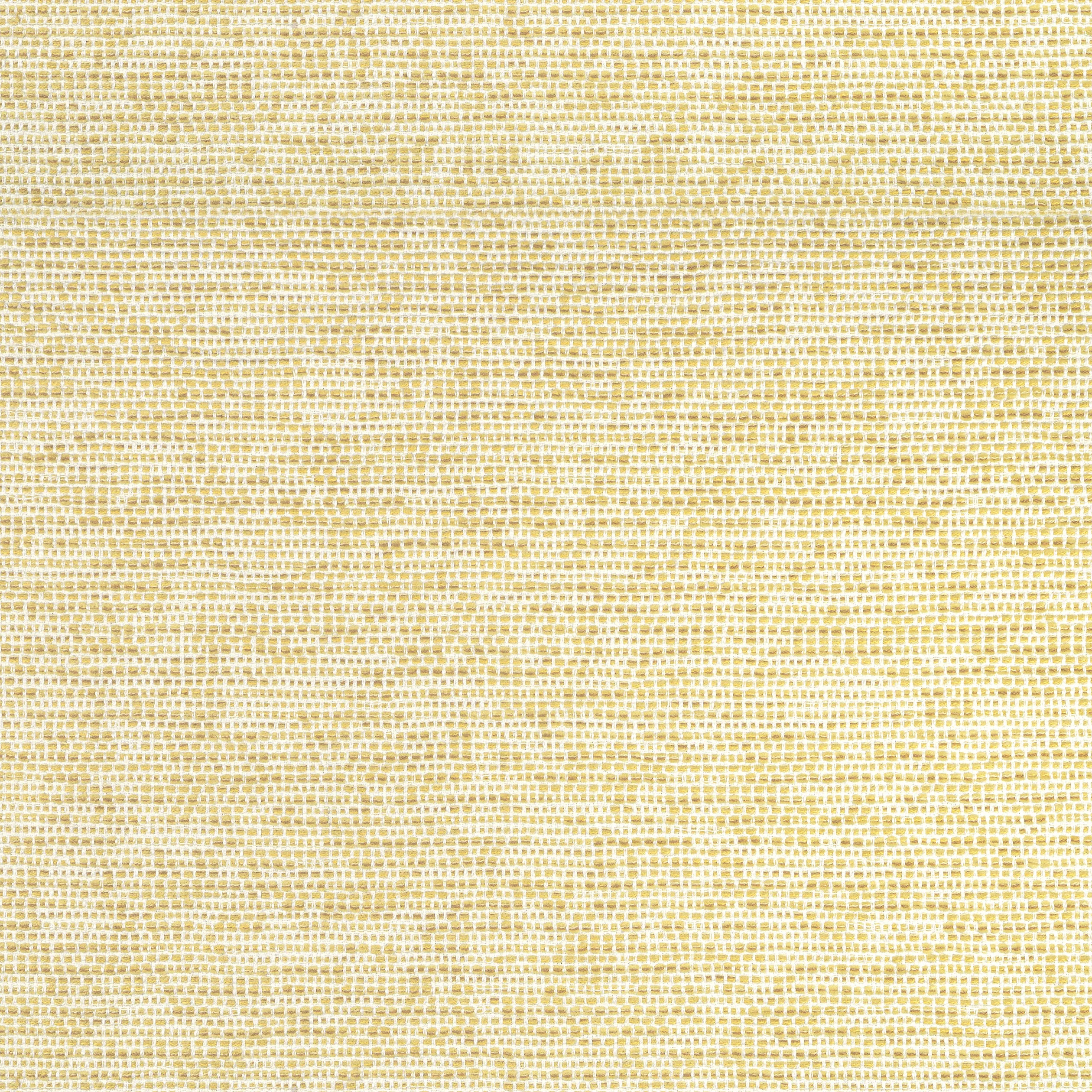Thibaut Borealis in Buttercup (W75232)