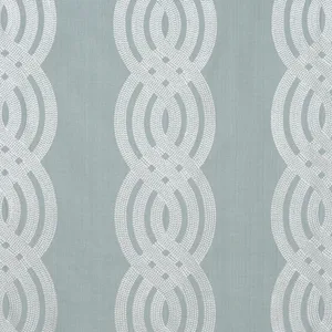 Thibaut Braid Embroidery in Robin's Egg (W710805)