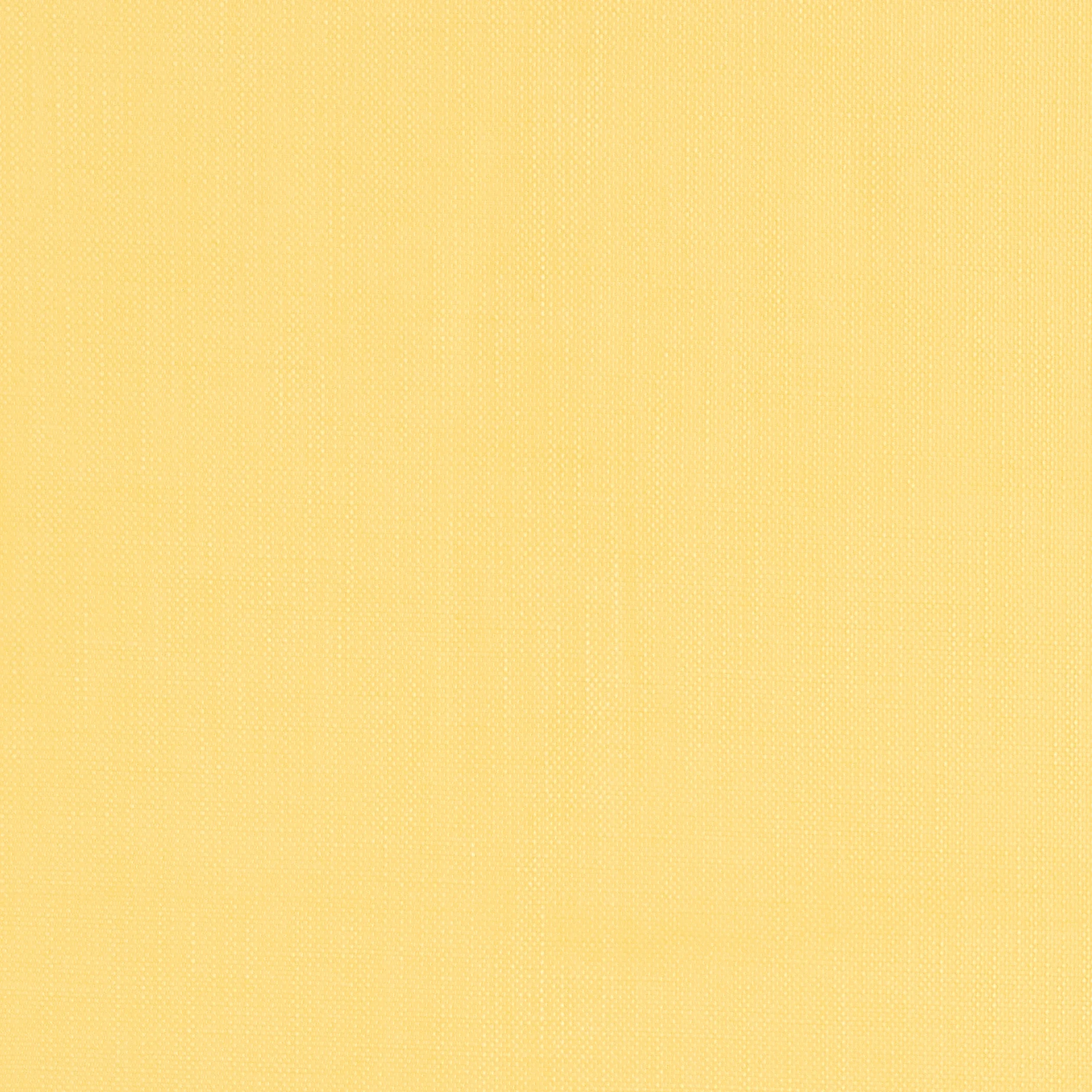 W81680 | Brynn – Daisy