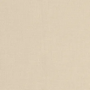 Thibaut Brynn in Sand (W81679)
