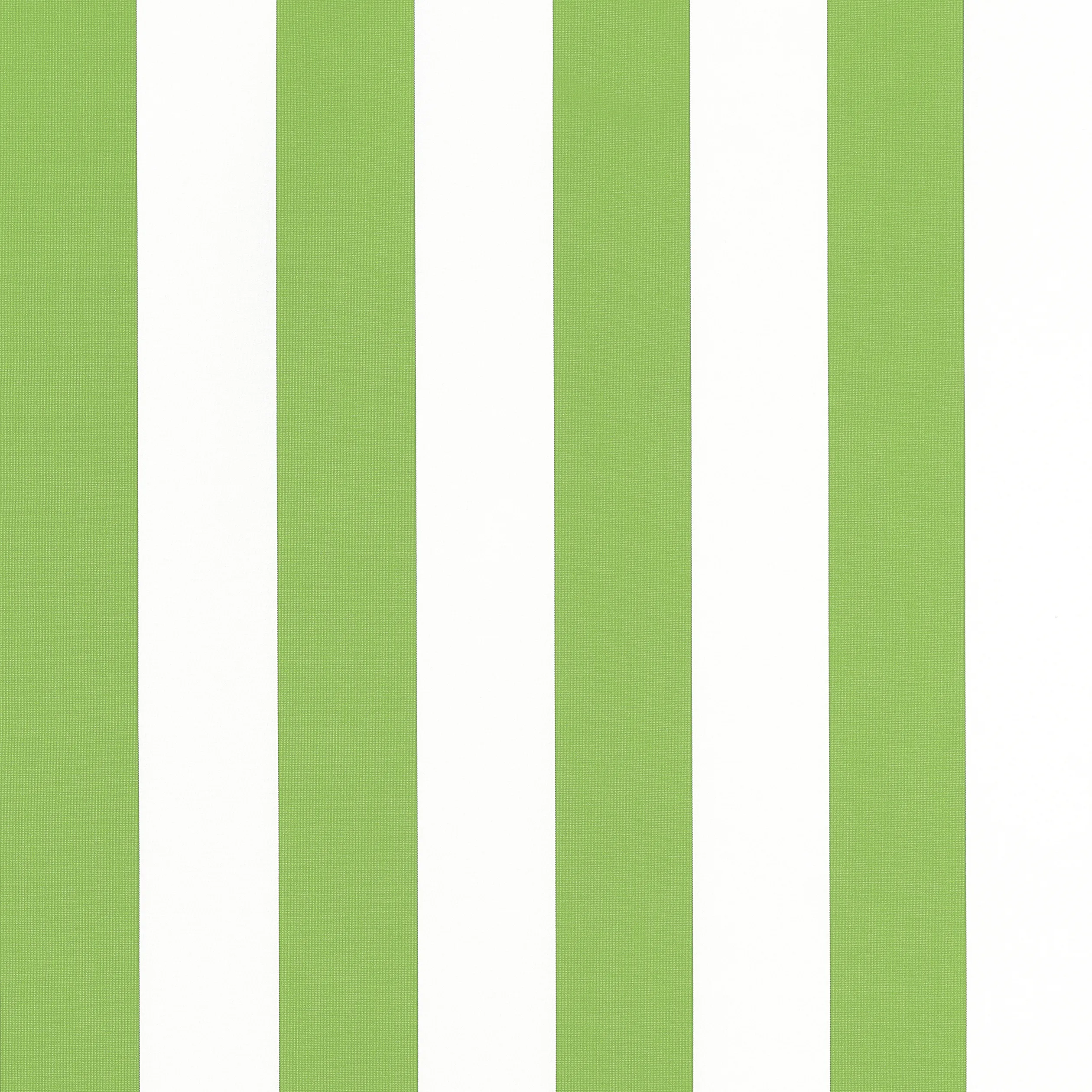 Thibaut Cabana Stripe in Kiwi (W81633)