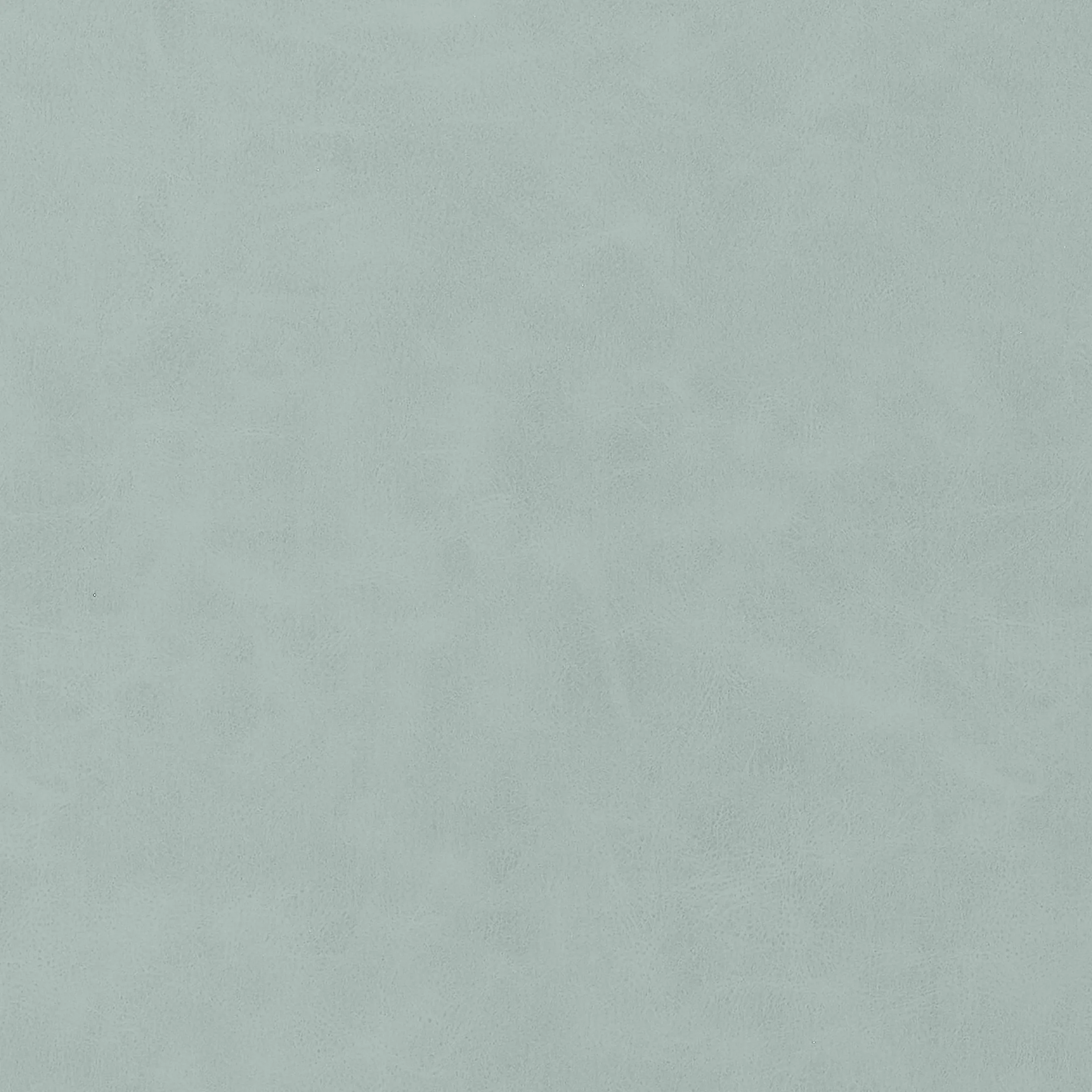 Thibaut Cabretta in Cloud (W9042)