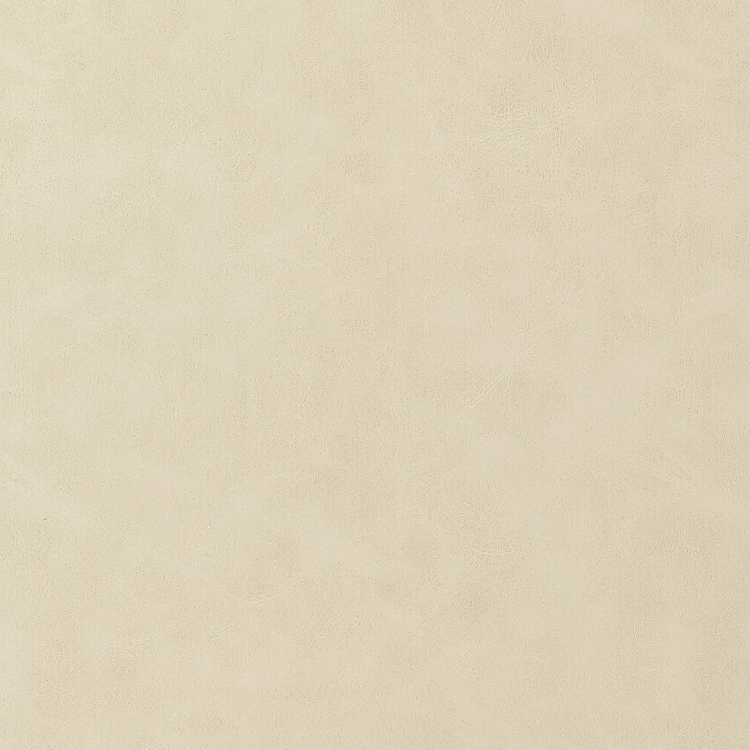 Thibaut Cabretta in Parchment (W9037)