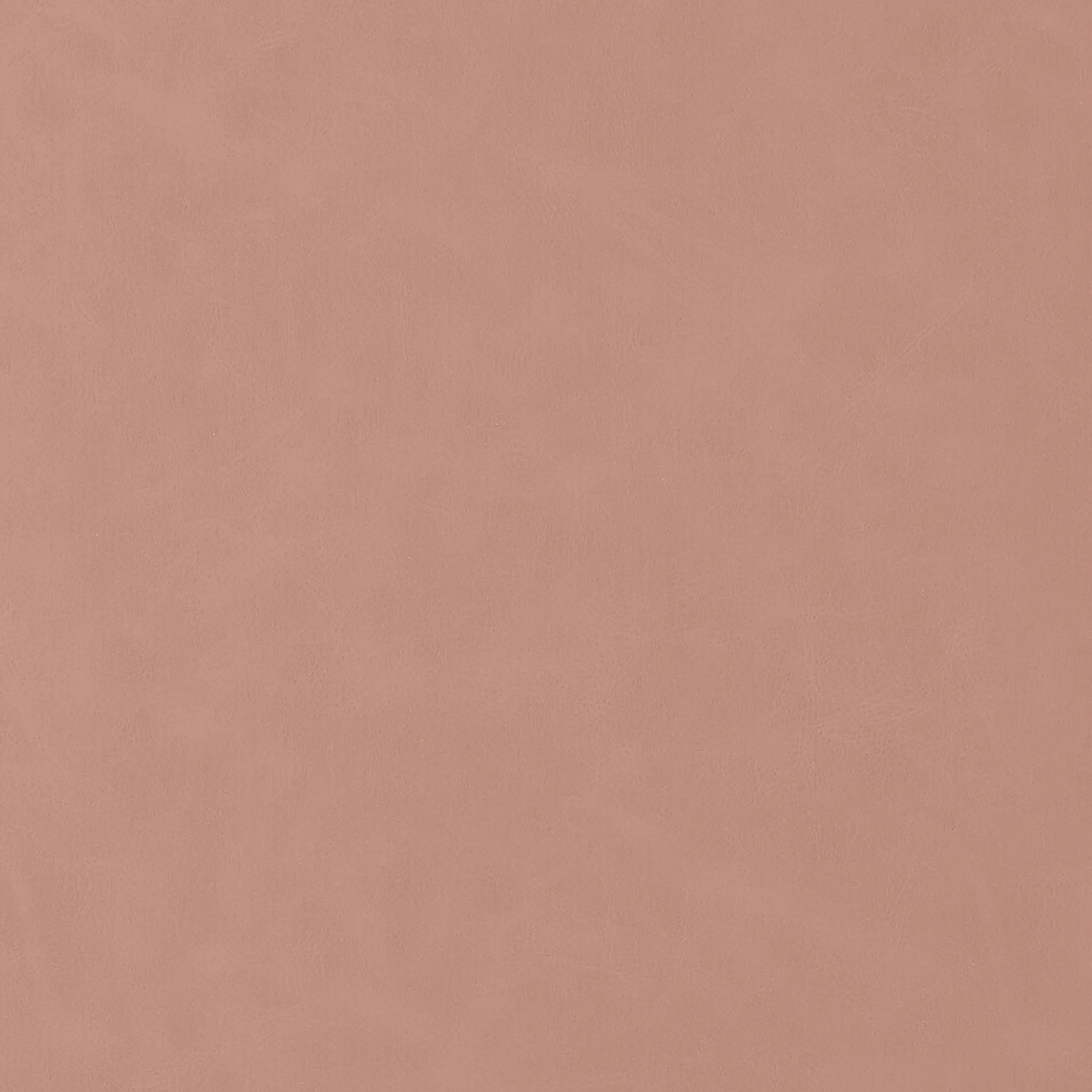 Thibaut Cabretta in Petal (W9040)