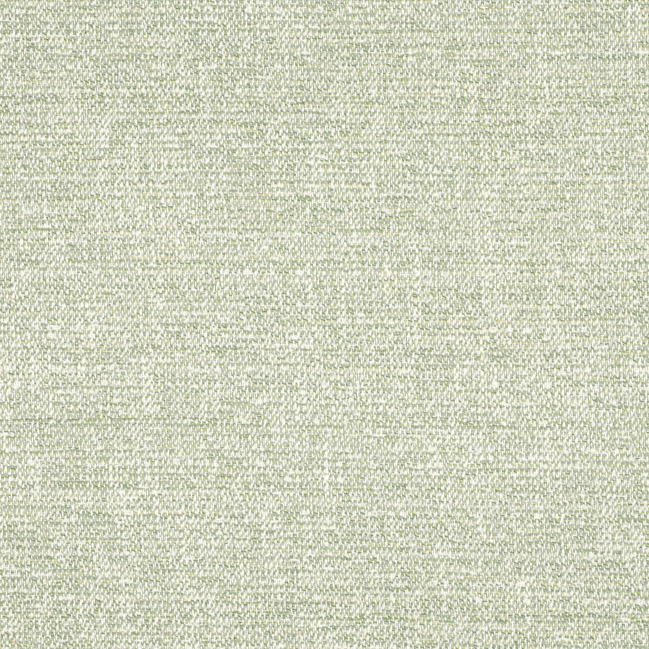 Thibaut Calais in Aloe (W8800)