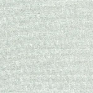 Thibaut Calais in Mist (W8789)