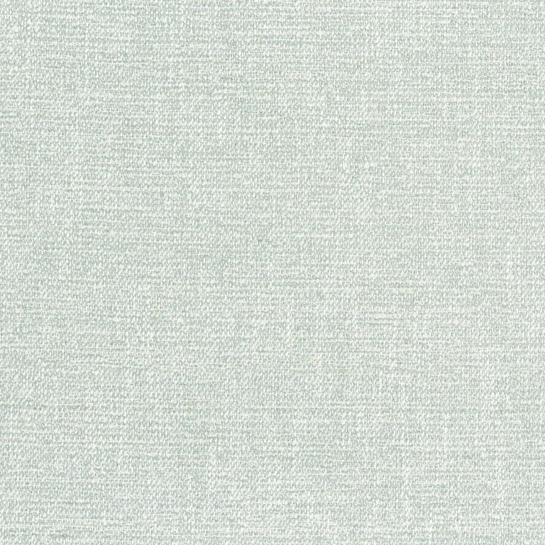 Thibaut Calais in Mist (W8789)
