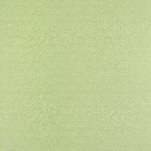 Thibaut Calista in Kiwi (W81716)