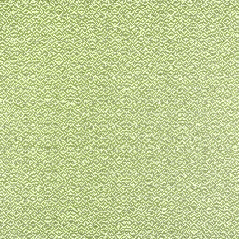 Thibaut Calista in Kiwi (W81716)