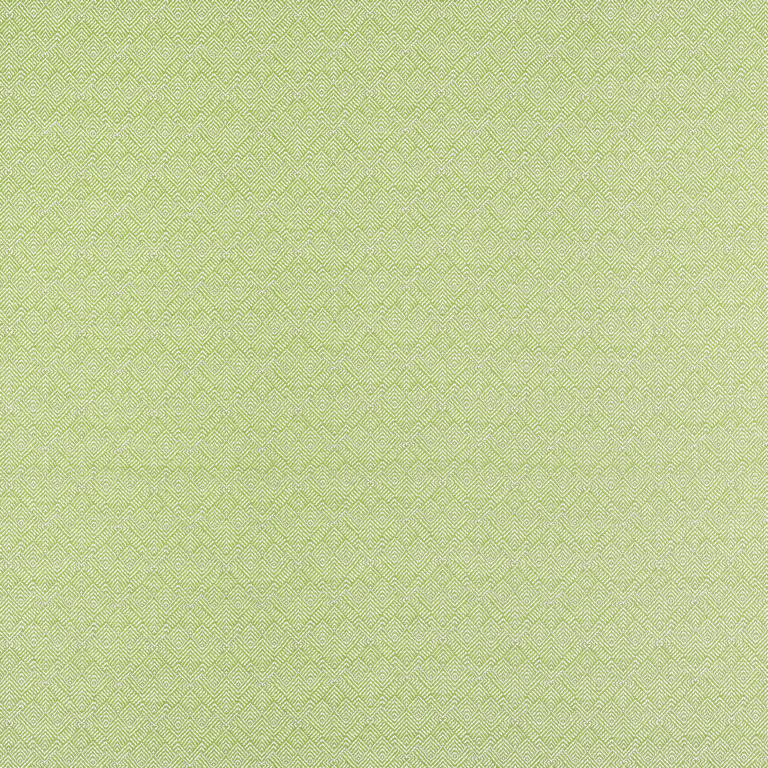 Thibaut Calista in Kiwi (W81716)