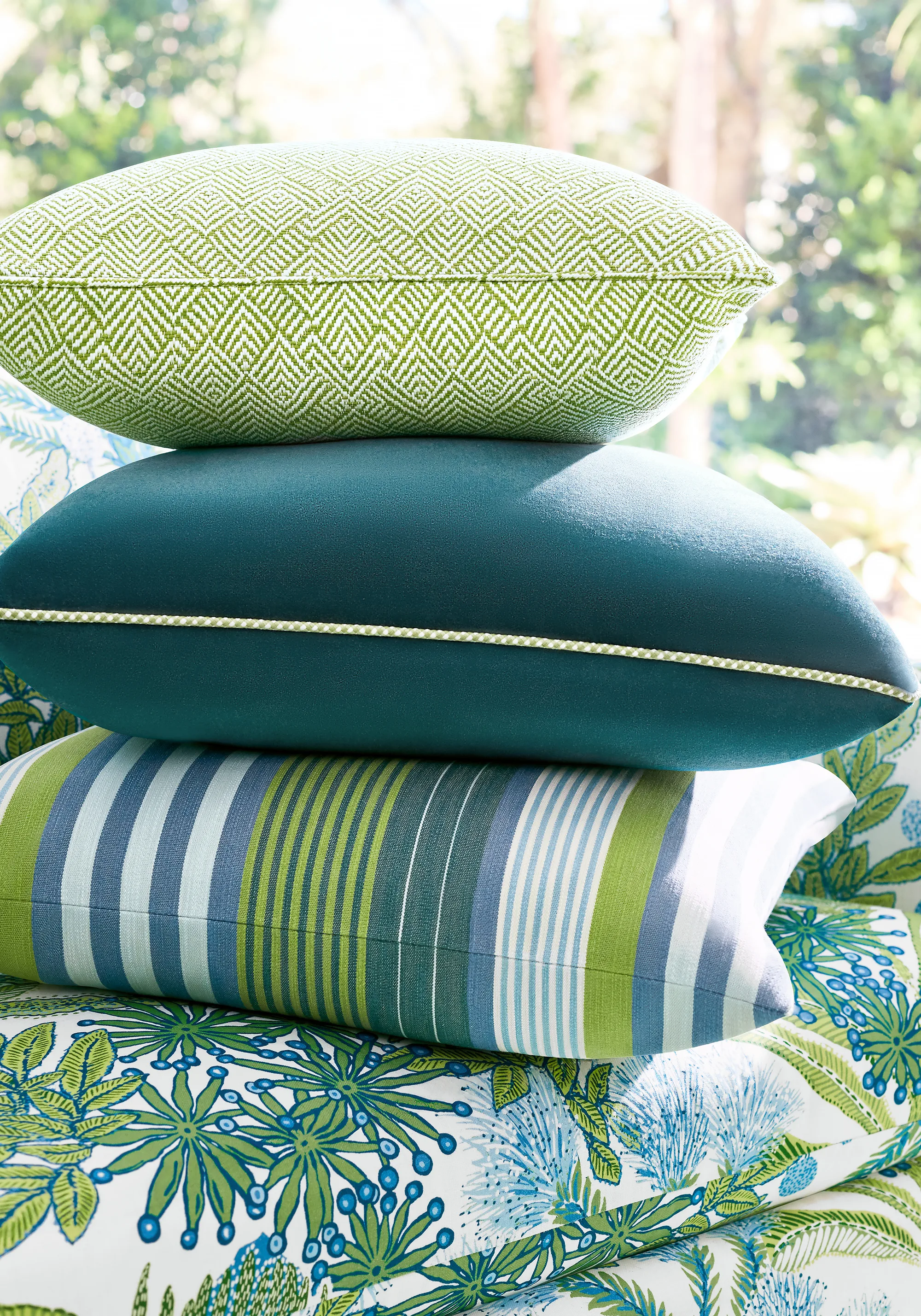 Thibaut Calista in Kiwi (W81716)