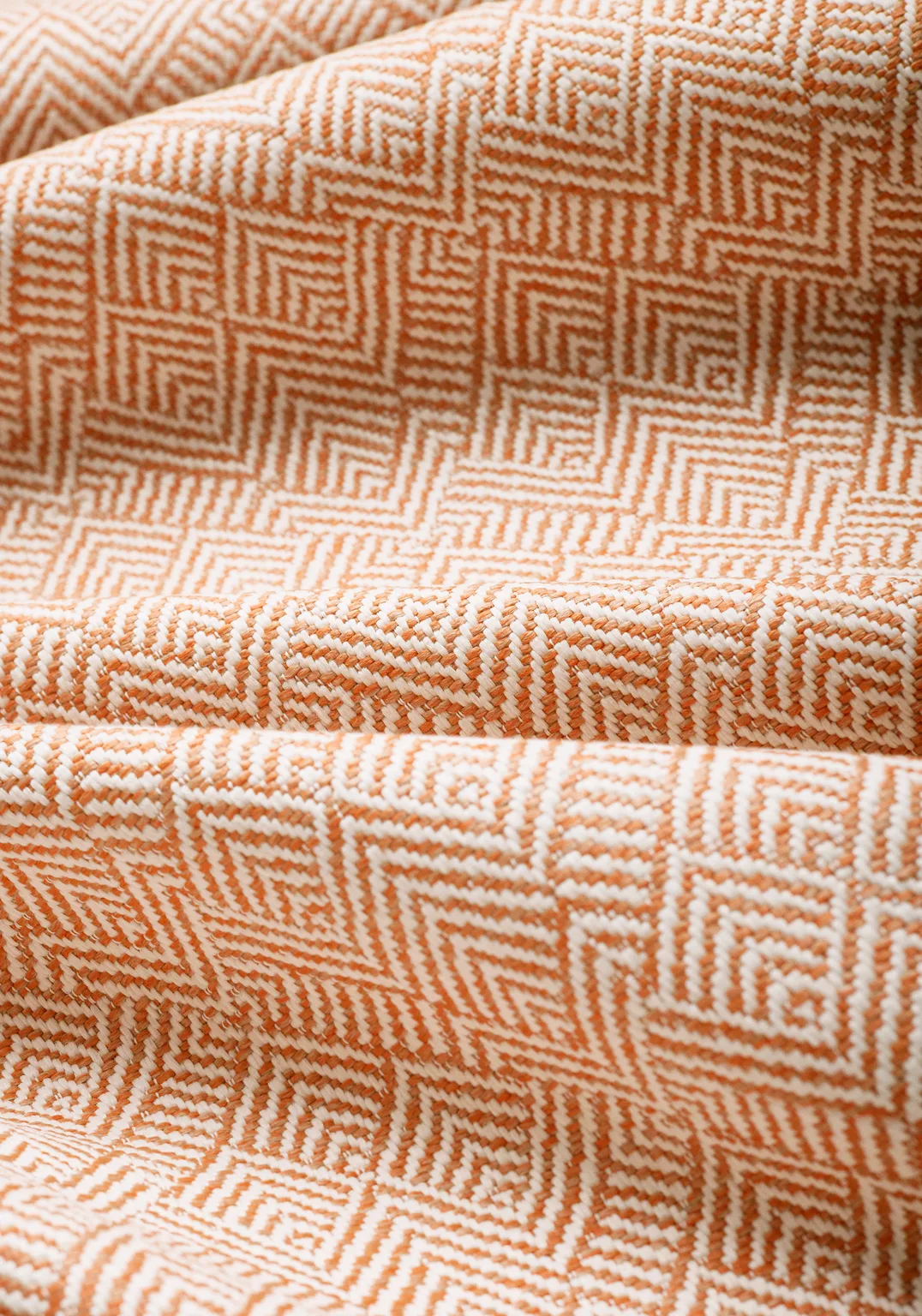 Thibaut Calista in Mandarin (W81718)