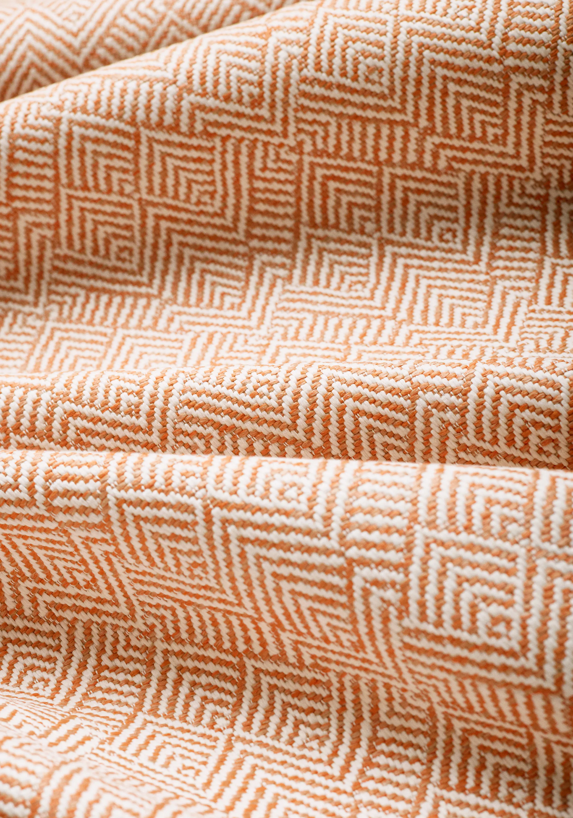 Thibaut Calista in Mandarin (W81718)