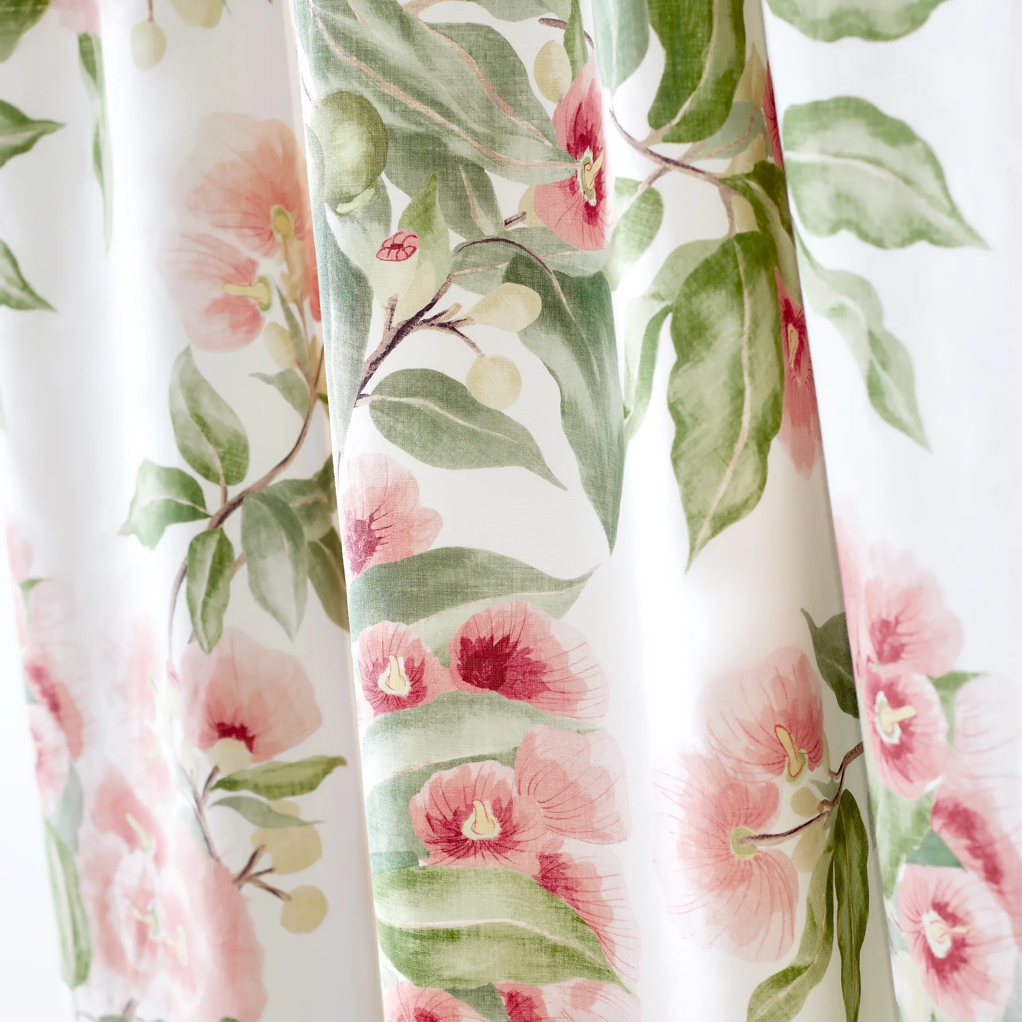 Anna French Camellia Garden in Coral (AF24550)