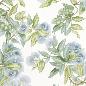 Anna French Camellia Garden in Sky (AF24549)