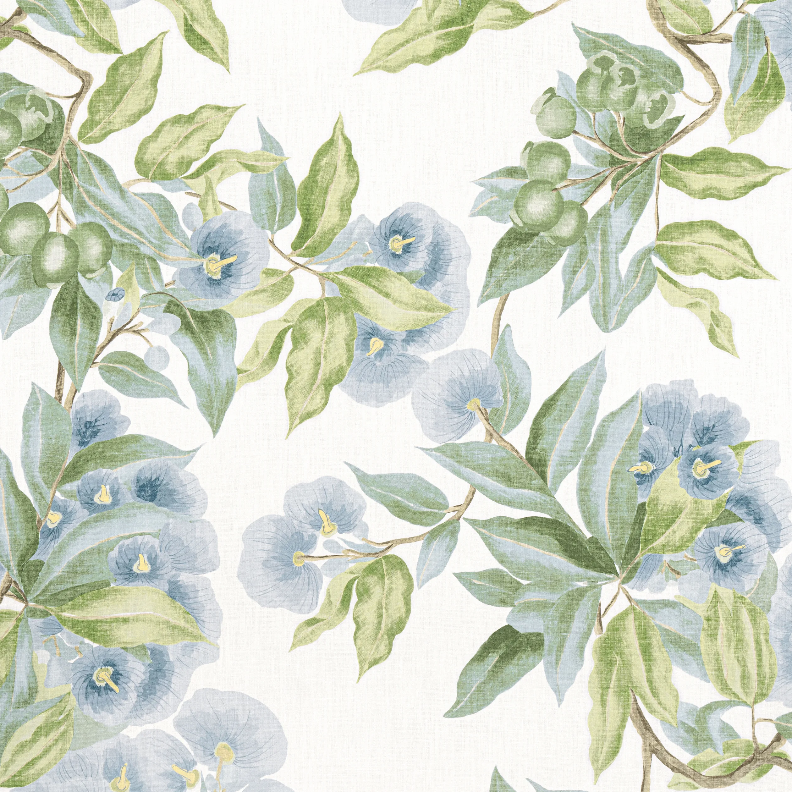 Anna French Camellia Garden in Sky (AF24549)