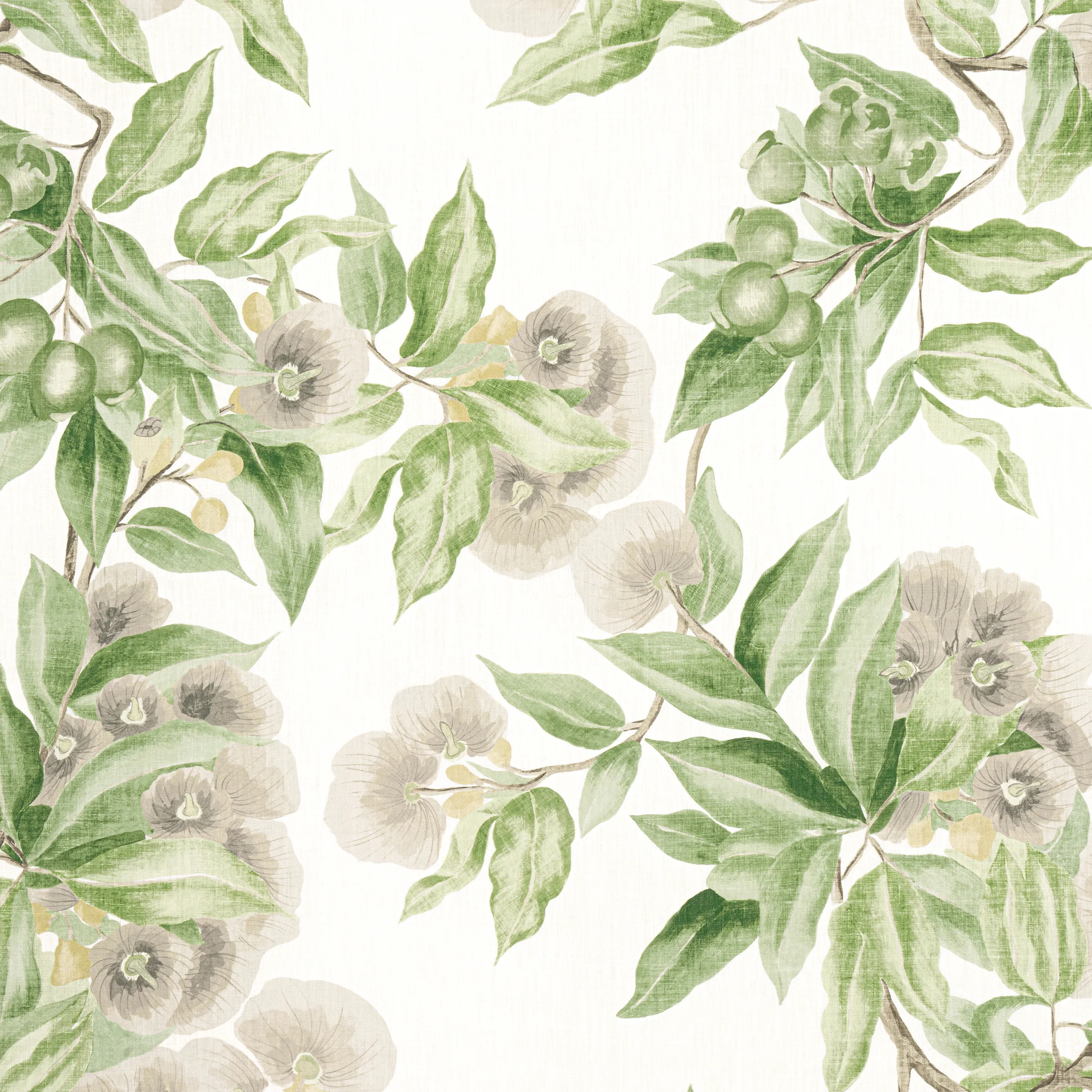 AF24551 | Camellia Garden – Spring on White
