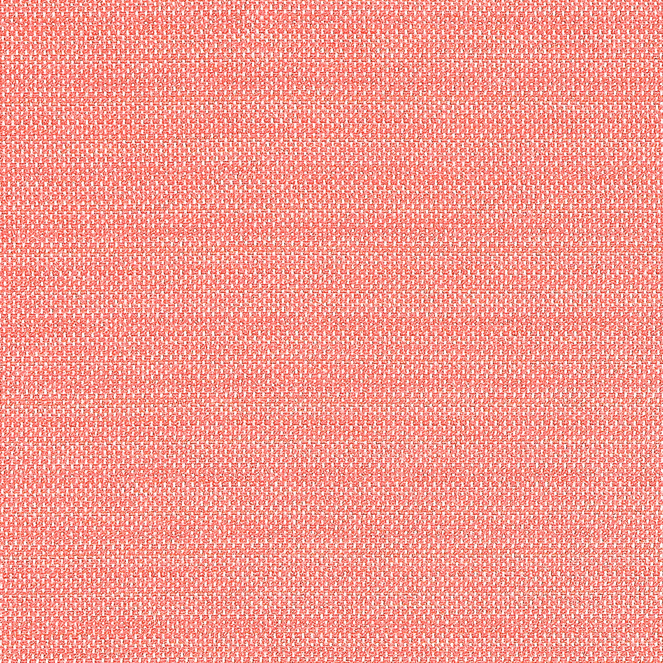 Thibaut Cameron in Coral (W81646)