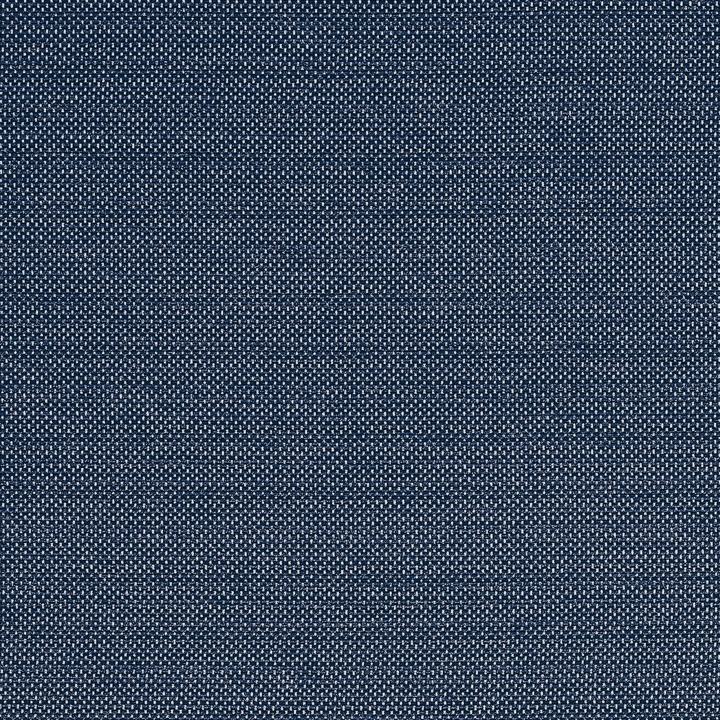 Thibaut Cameron in Navy (W81649)
