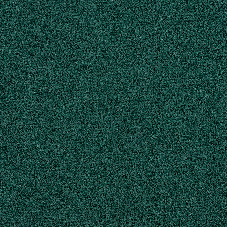 Thibaut Capra in Forest (W8593)