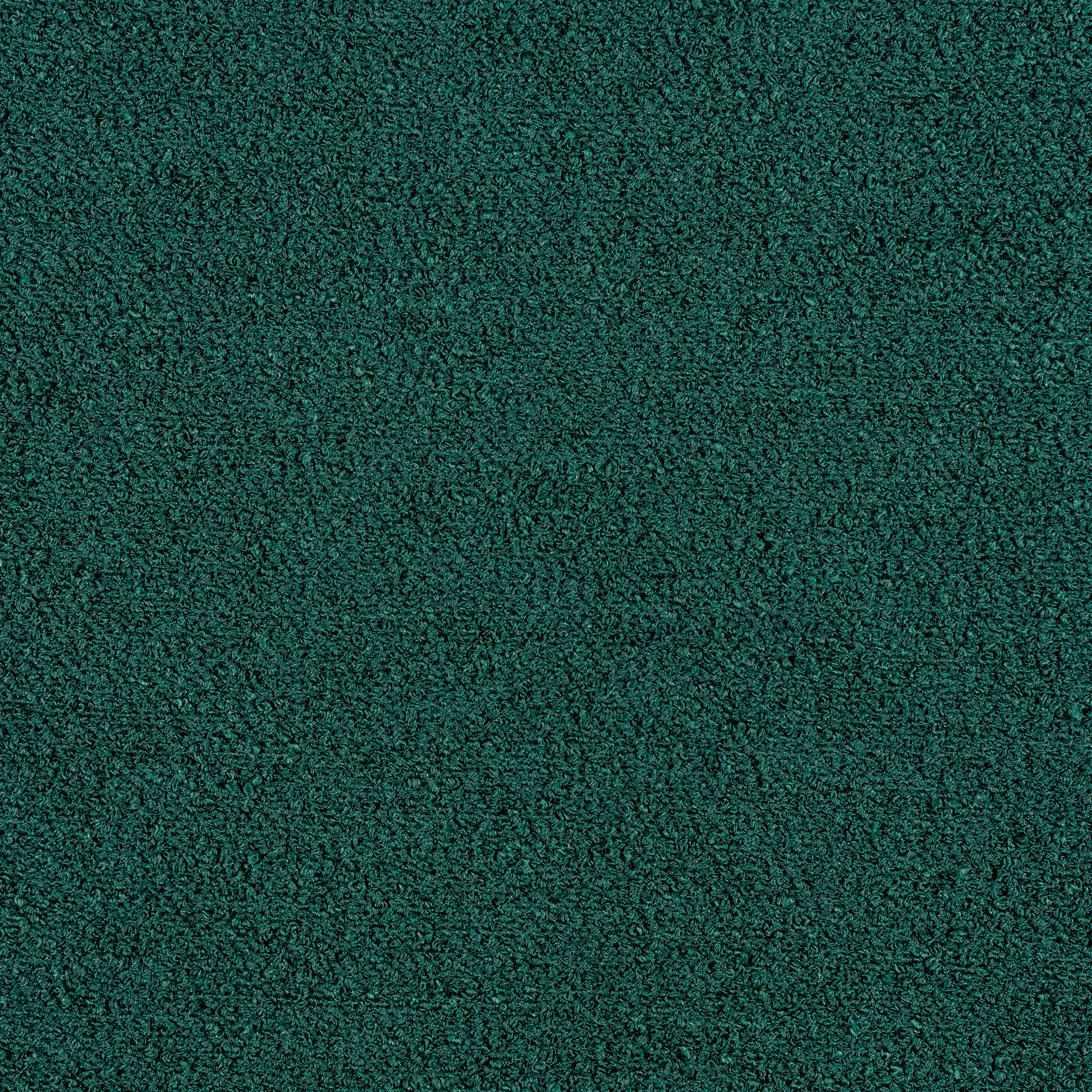 Thibaut Capra in Forest (W8593)