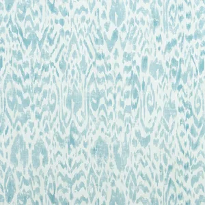 Thibaut Carlotta in Aqua (F975483)