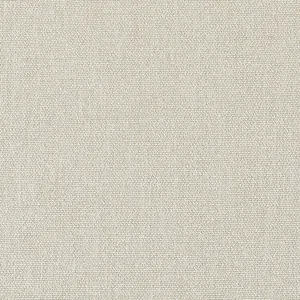 Thibaut Castaway in Jute (W81711)