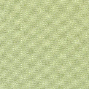 Thibaut Castaway in Kiwi (W81712)