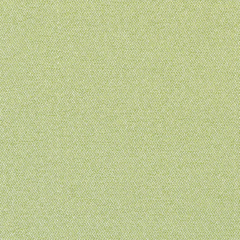 Thibaut Castaway in Kiwi (W81712)