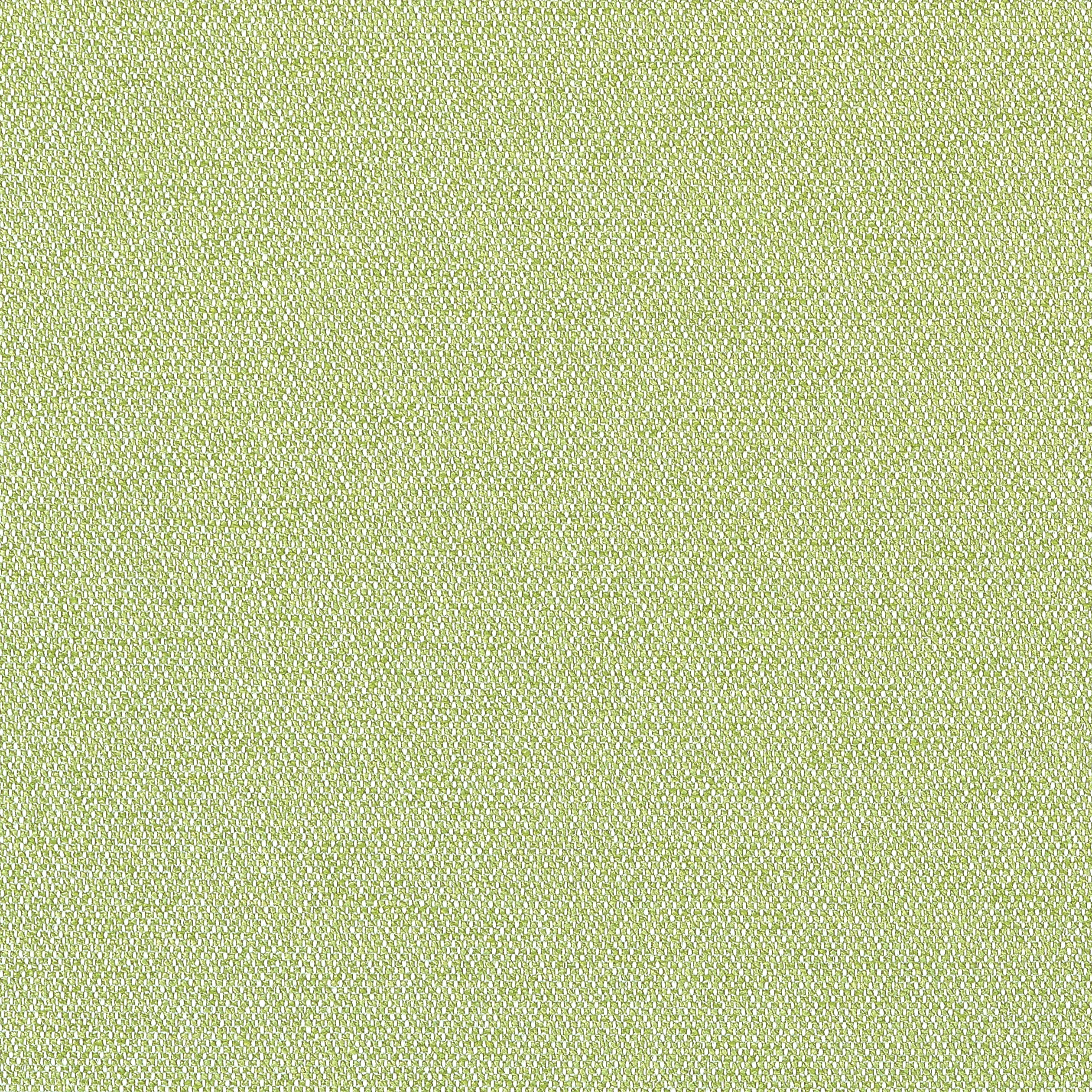 Thibaut Castaway in Kiwi (W81712)