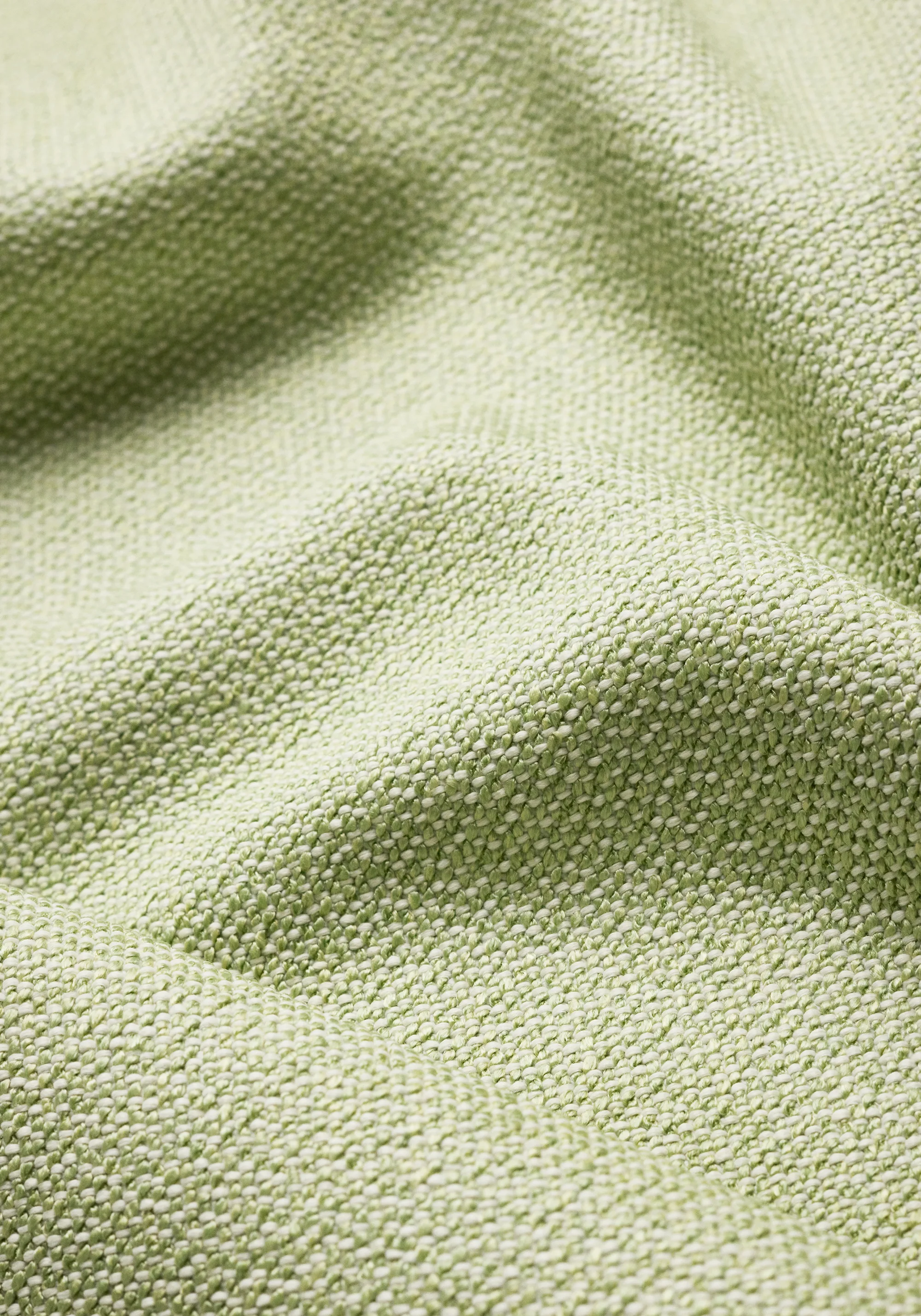 Thibaut Castaway in Kiwi (W81712)