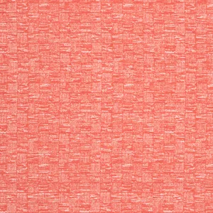 Thibaut Cestino in Coral (W8516)