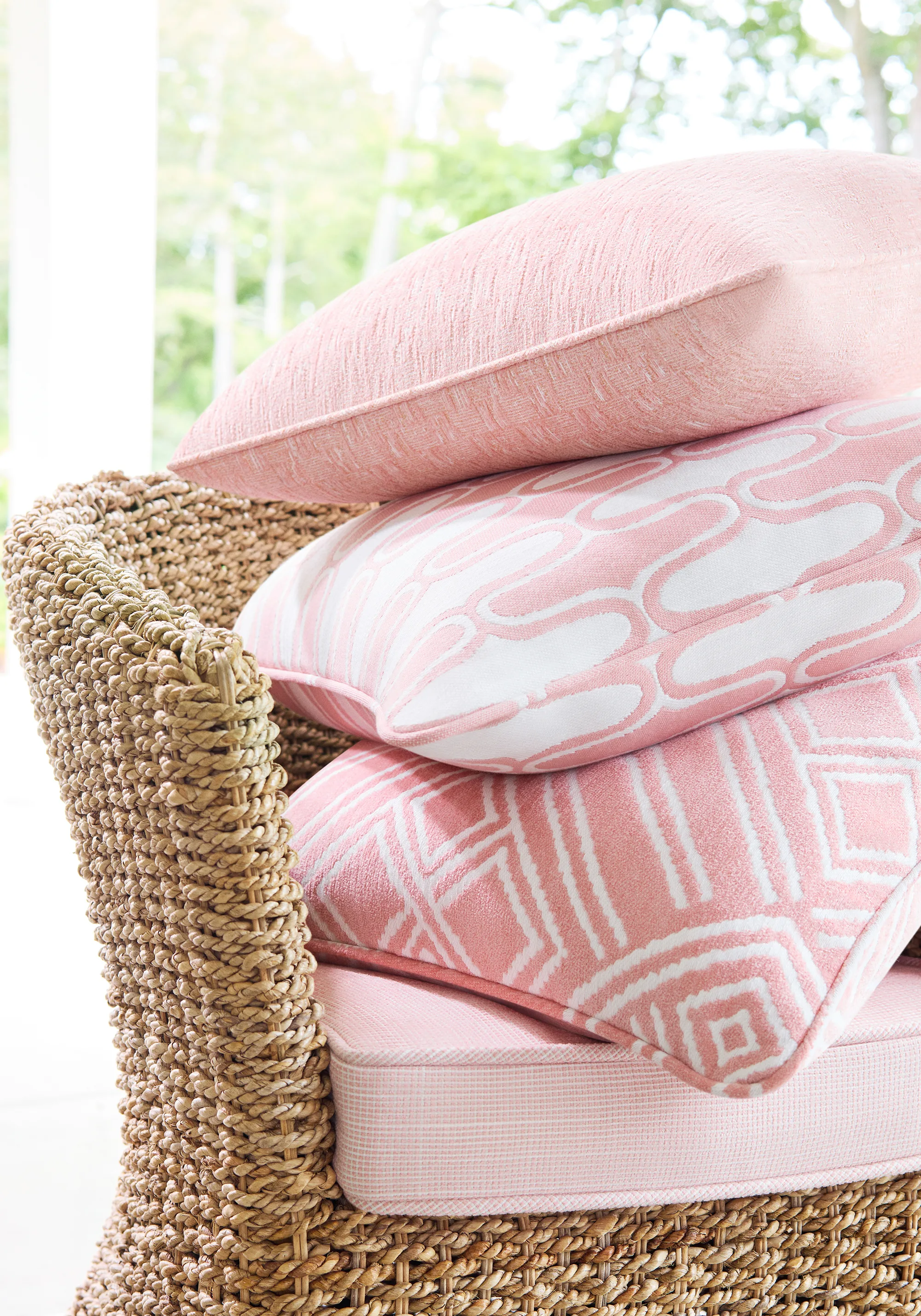 Thibaut Cestino in Seashell (W8515)