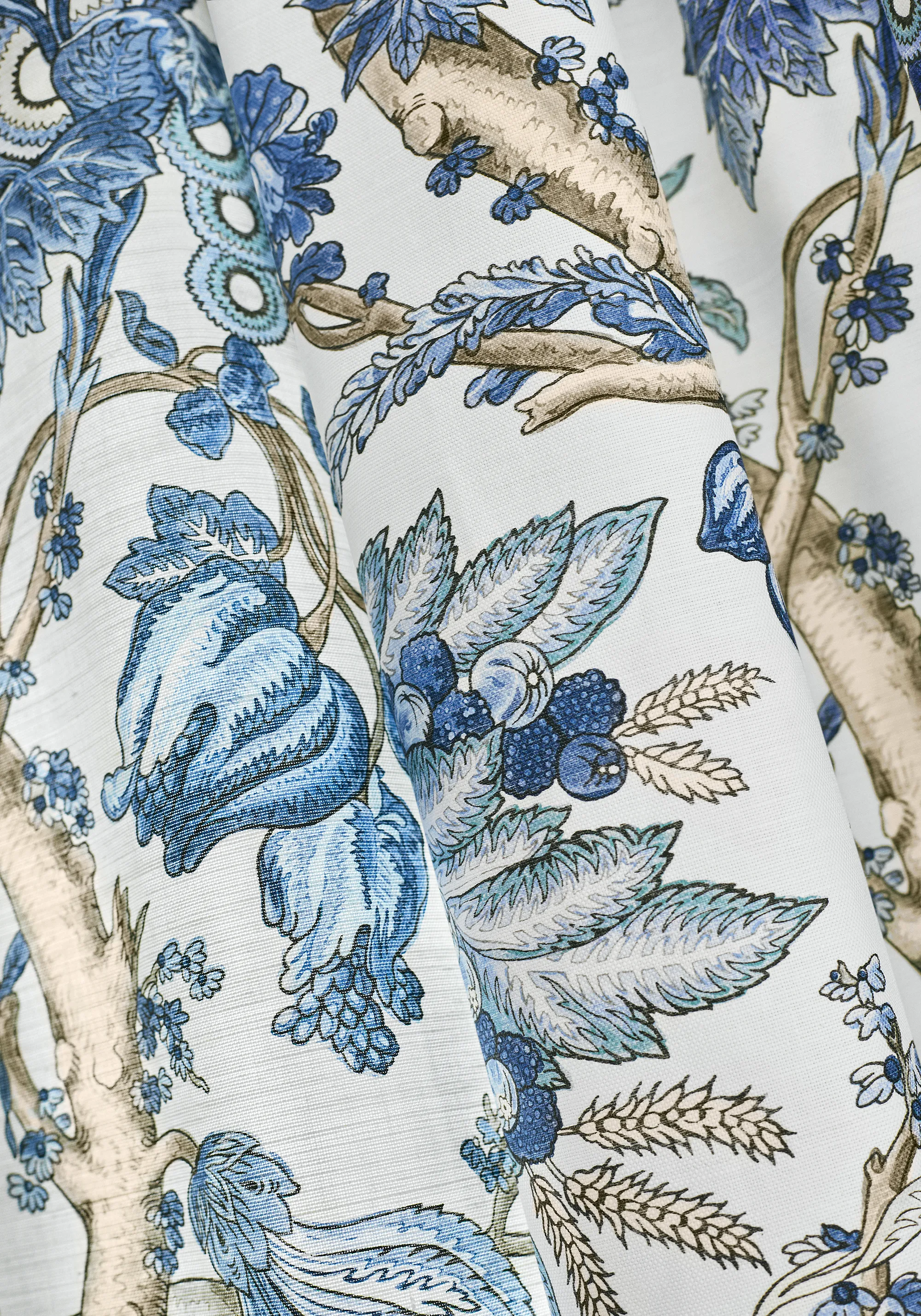 Thibaut Chatelain in Blue and White (F910846)